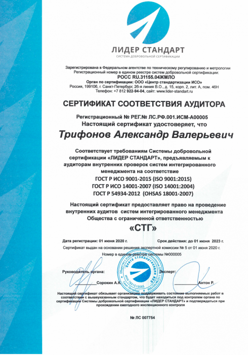 Сертификат Аудитора Трифонов Александр Валерьевич